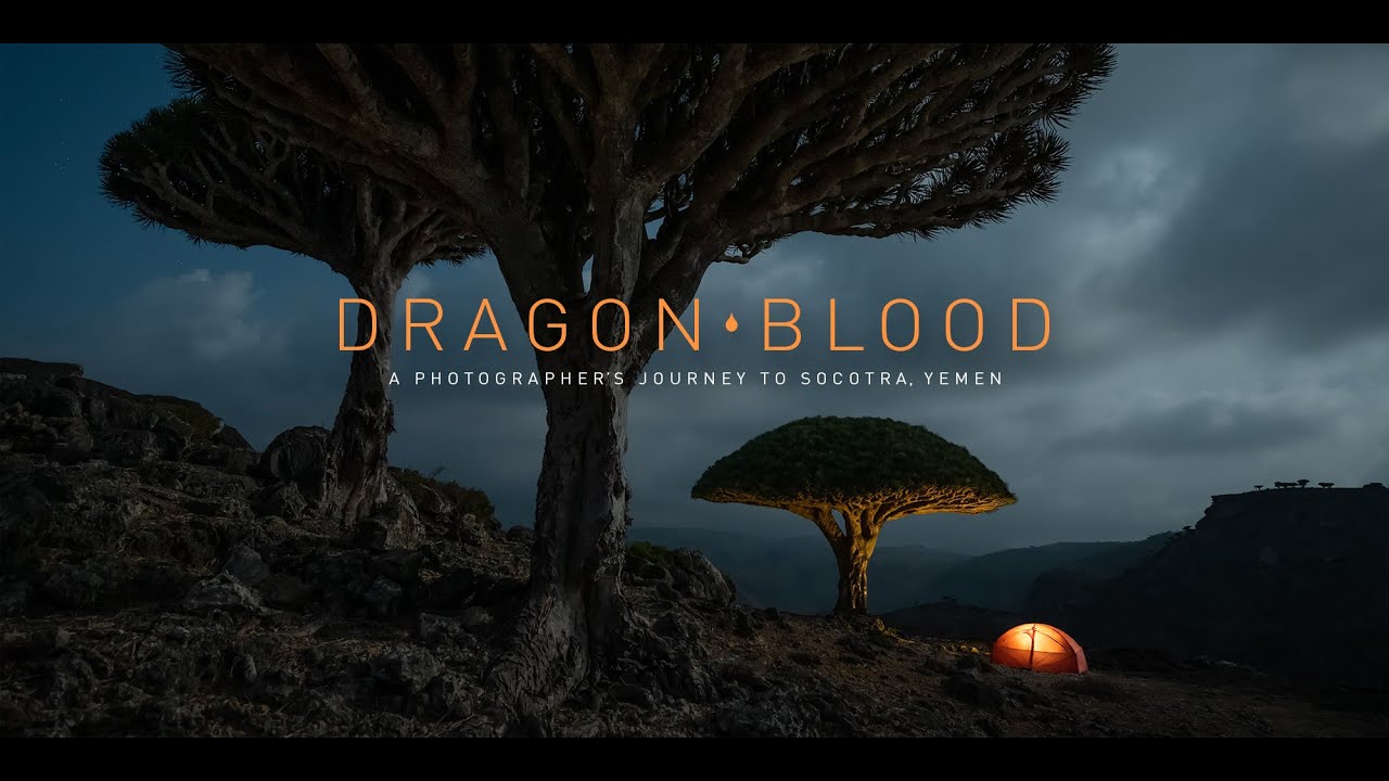Dragon Blood - A Photographer's Journey to Socotra, Yemen