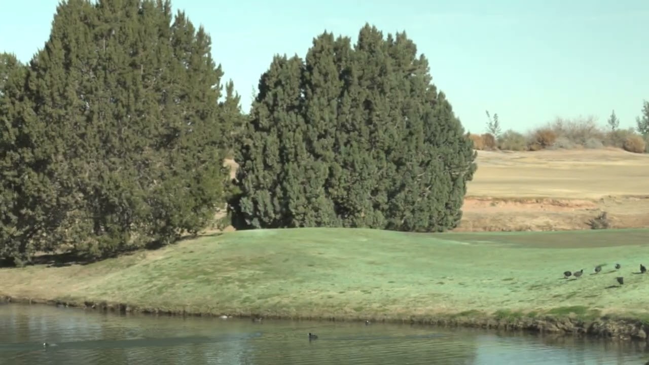 Butterfield Golf Club Rough Cut Commercial