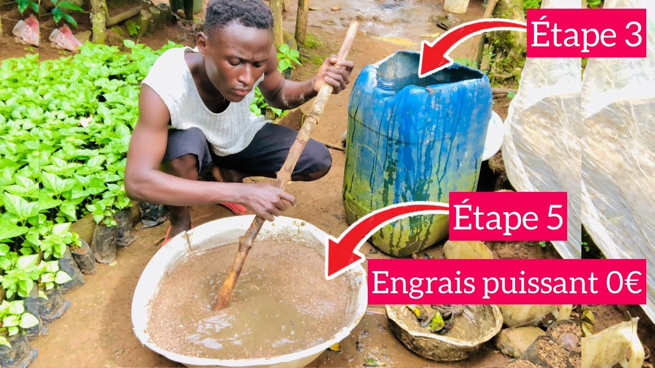 Faire son propre engrais GRATUIT et PUISSANT! FASA