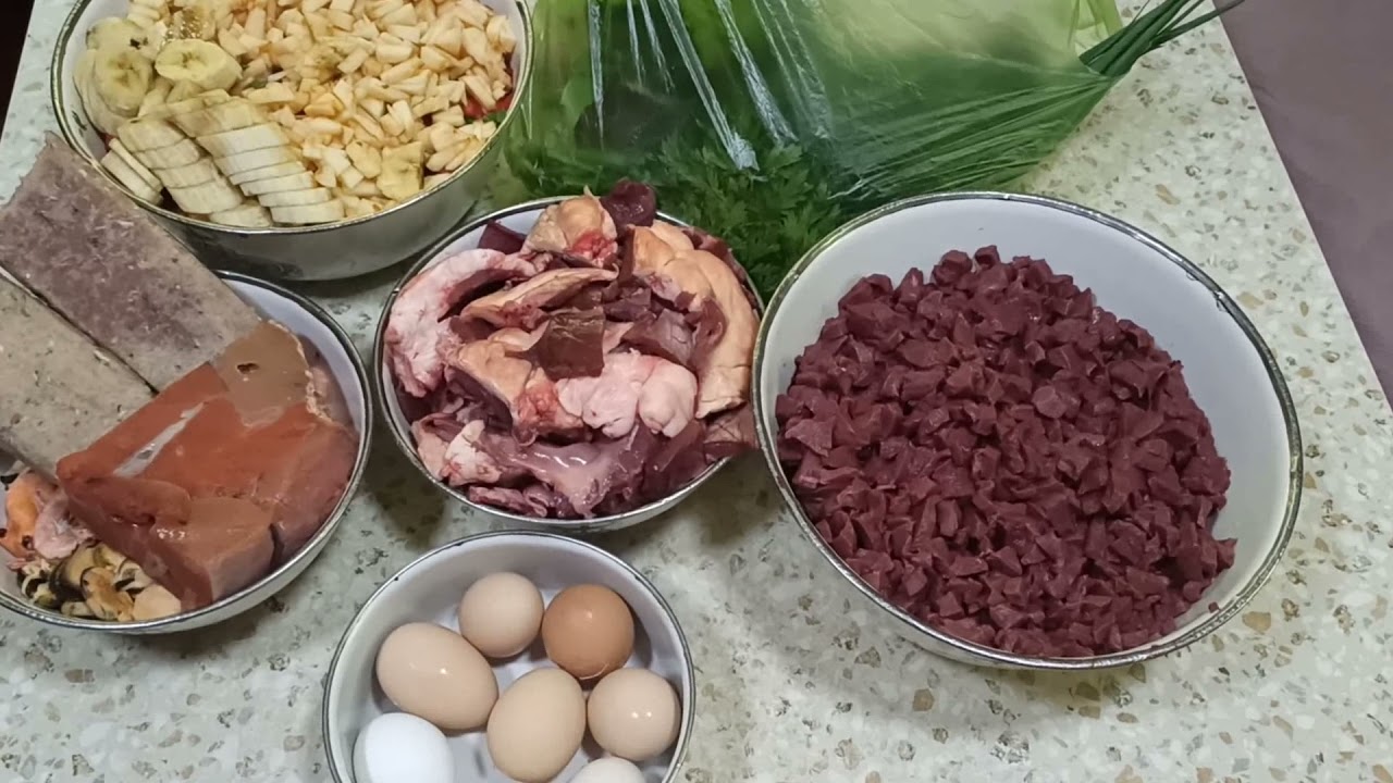 Вкусняшки для дискусов.