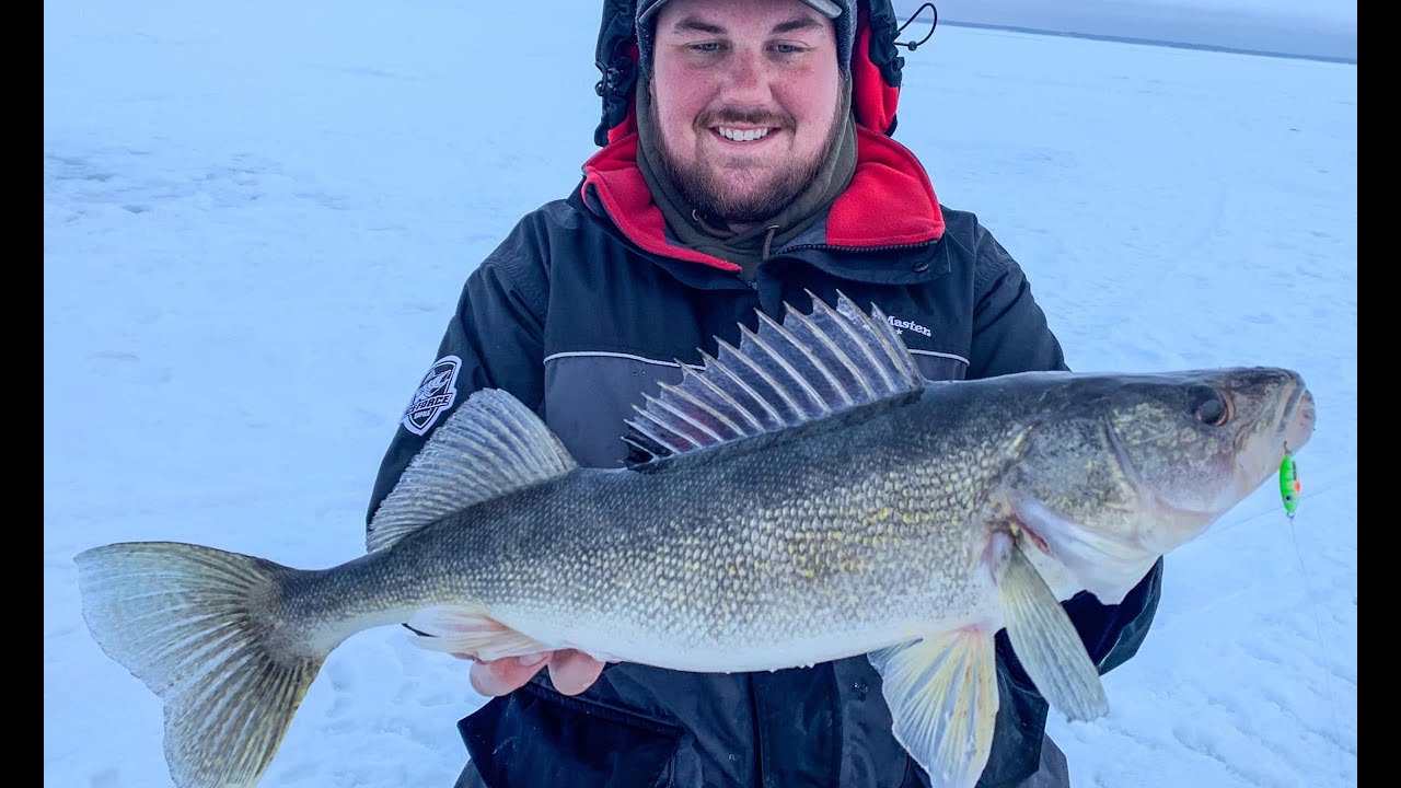 Catch More Walleyes with These Jigging Cadences