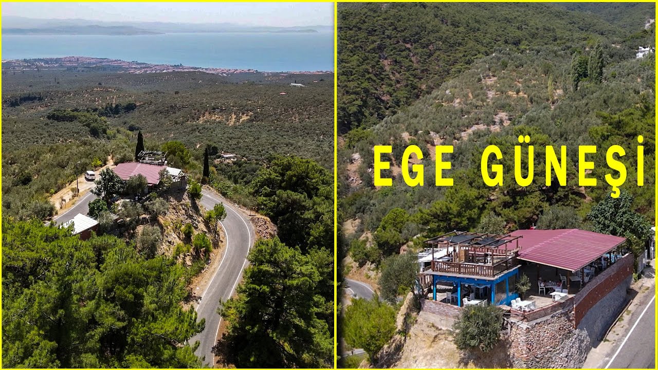 Semizotu Turşusu Yaptık | Köy Gezisi (Ege Güneşi)