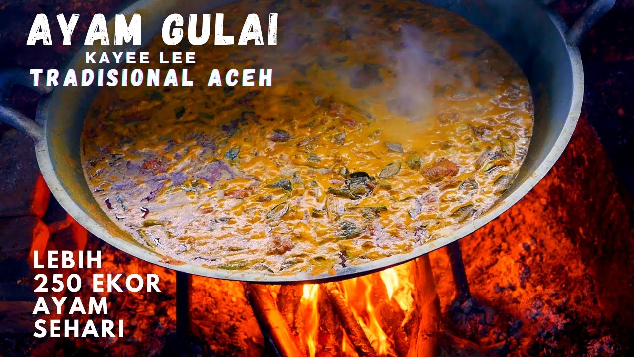 Lebih 250 Ekor Ayam Kampung Habis Sehari || Ayam & Bebek Gulai Tradisional Aceh