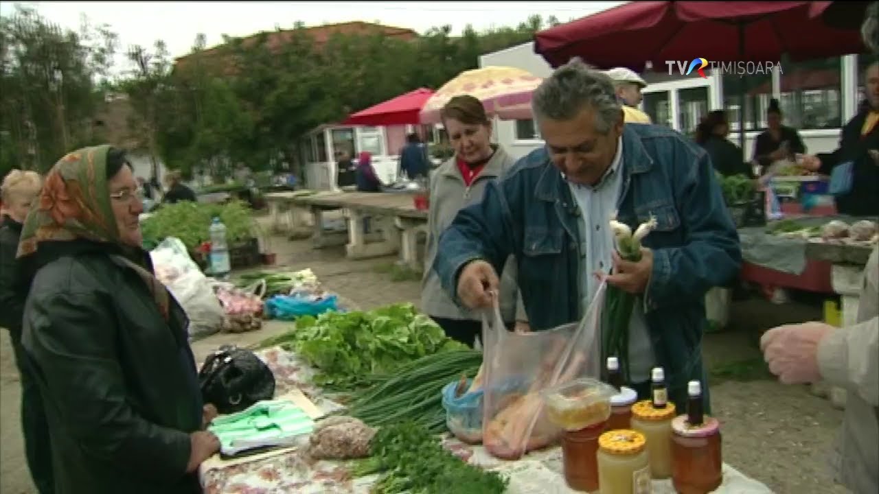 Dovlecei și vinete umplute, învelite cu capac de roșii  #SareaInBucate @TVRTM