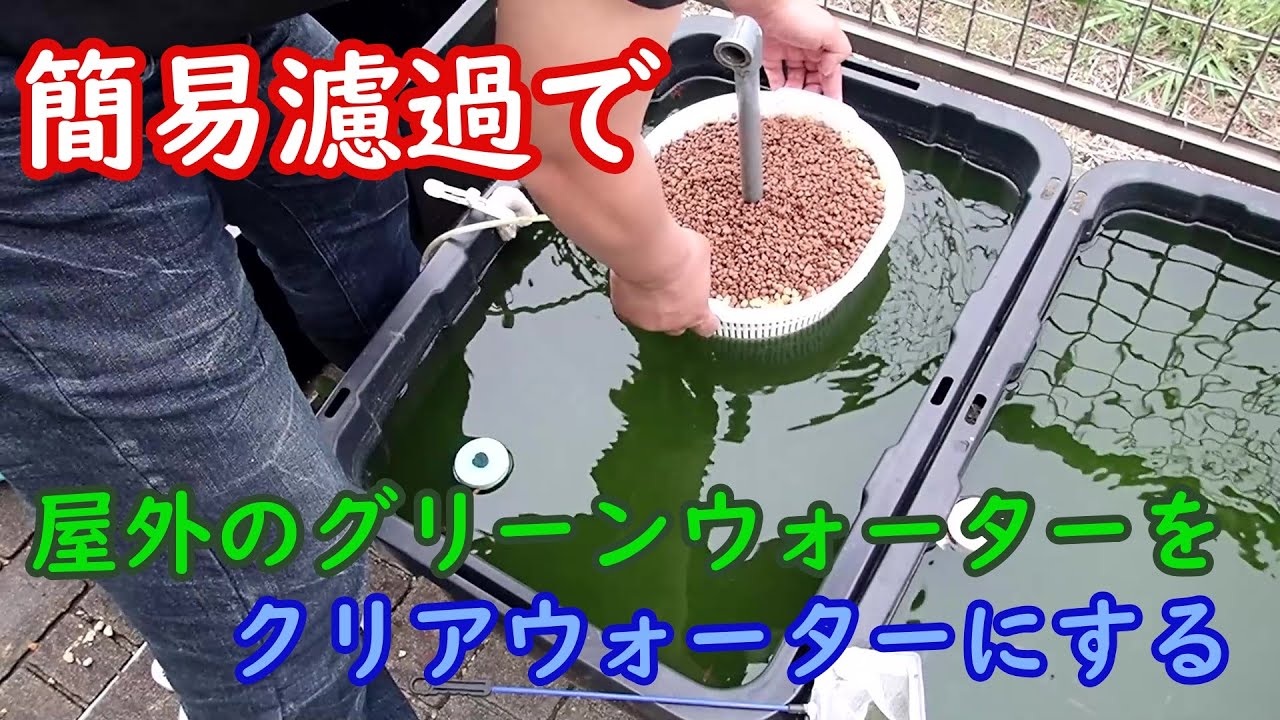 【めだか】屋外のグリーンウォーターは簡易濾過でクリアウォーターになるのか？最強濾過と簡易濾過の比較