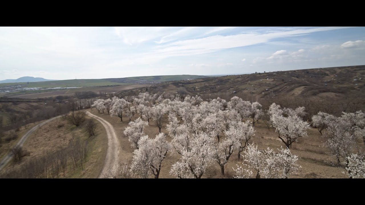 QAV-PRO WHOOP 5