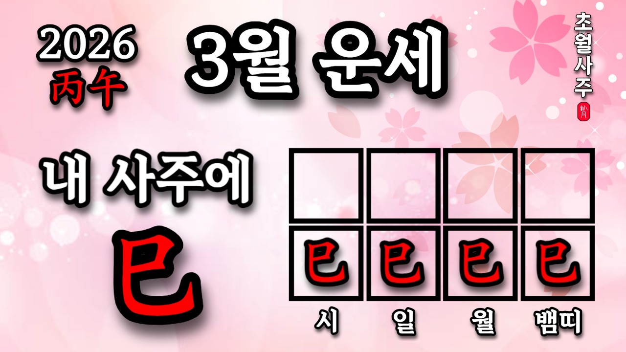 [3월운세] 내 사주에 사(巳)가 있으면, 신묘월에는?