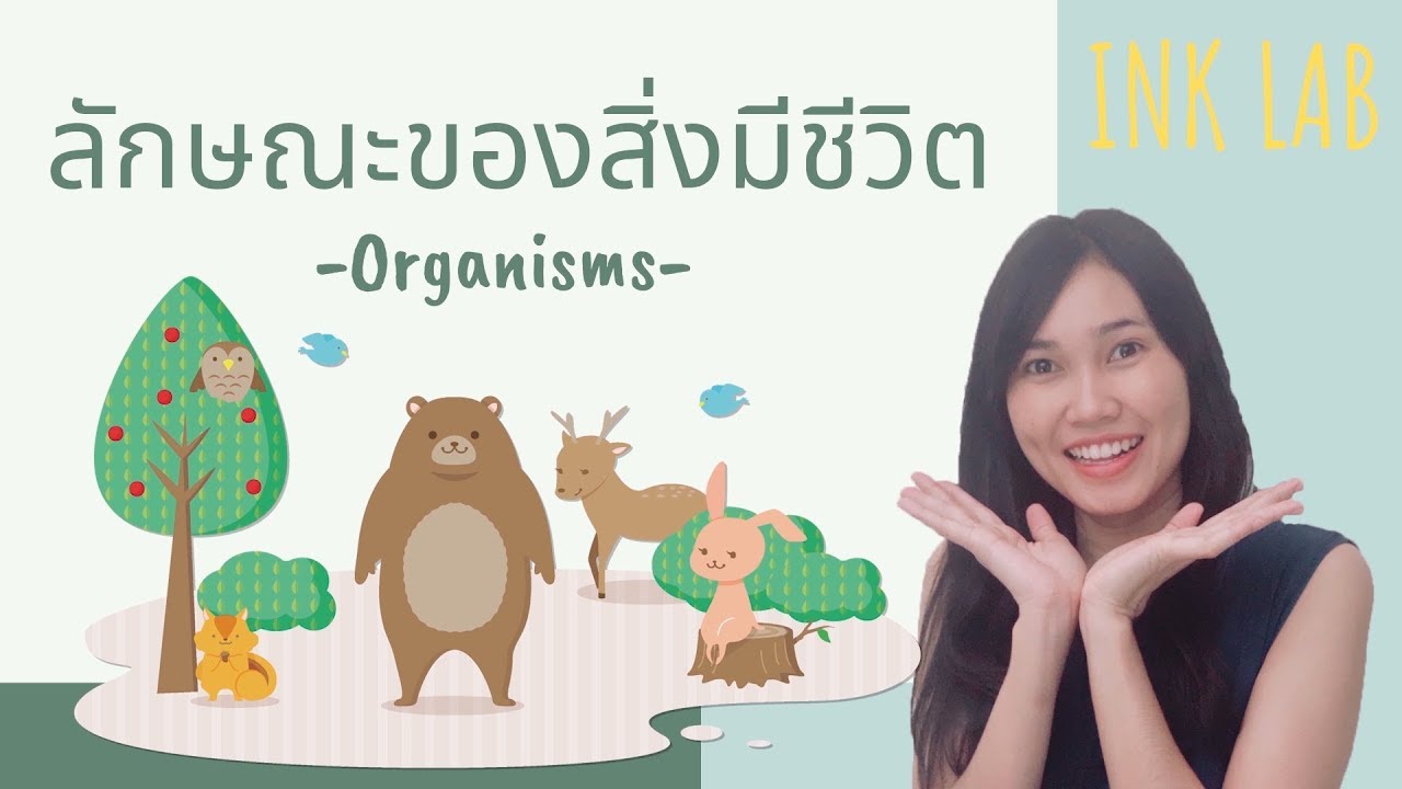🧬การศึกษาชีววิทยา 1 : ธรรมชาติของสิ่งมีชีวิต [Biology#4]
