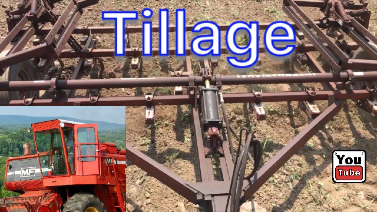 IH 986 Tillage