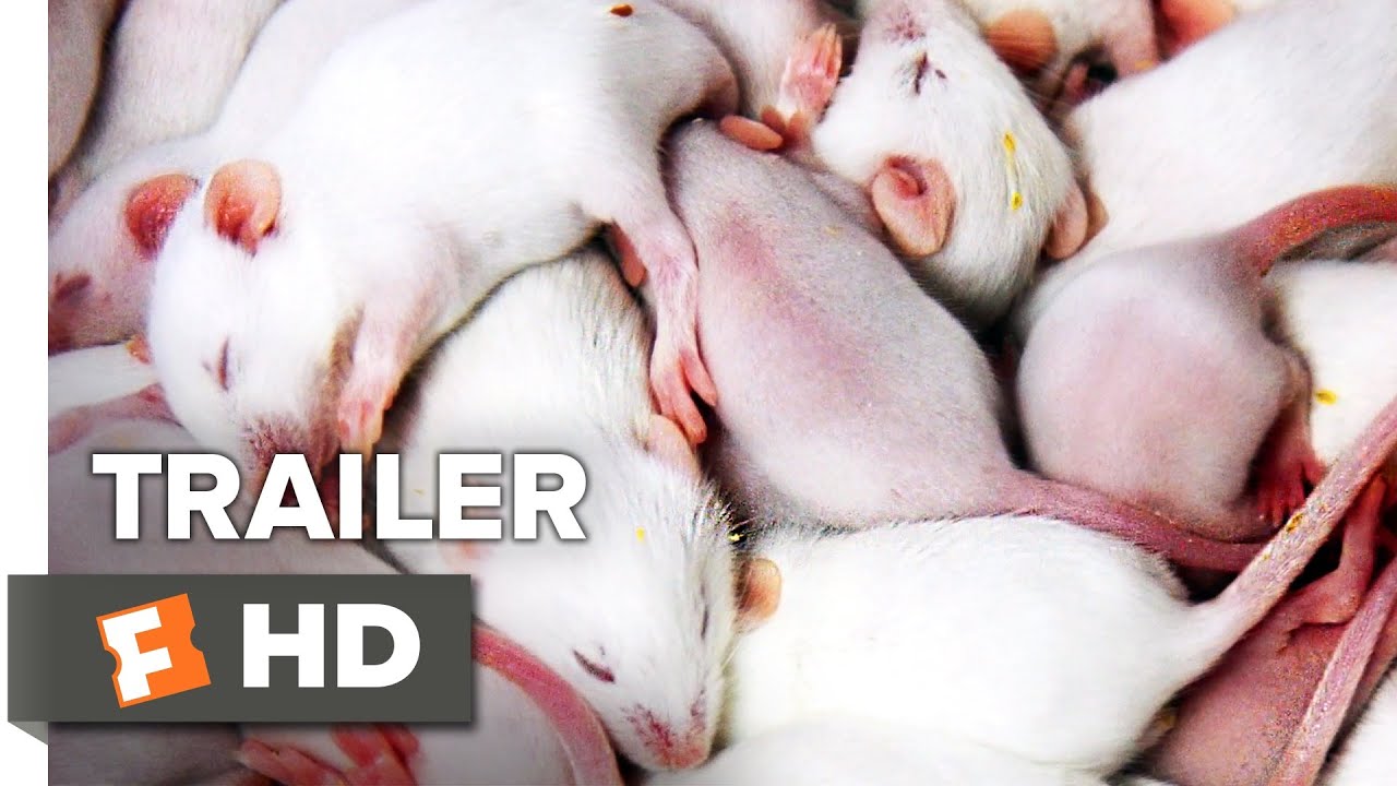 Rat Film Trailer #1 (2017) | Movieclips Indie