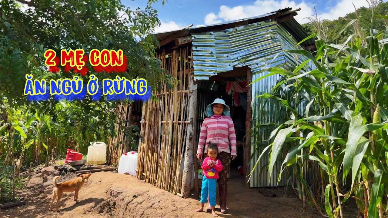 CÔ GÁI, ôm con chạy vô rừng, kiếm từng BỮA CƠM - tập 1248