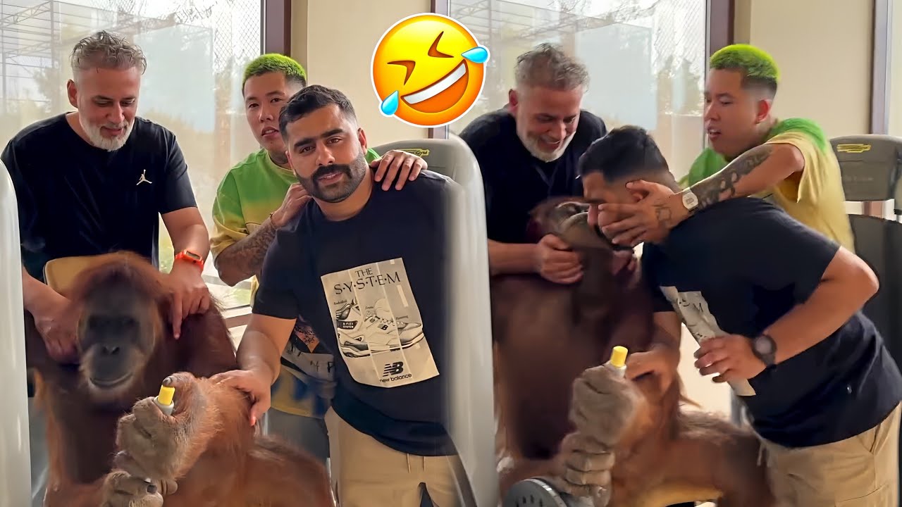 Best Arab Friends Pranks 🤣 Videos #183 &ndash; Arabs are Very Funny 😂 | Arabic Humor Hub