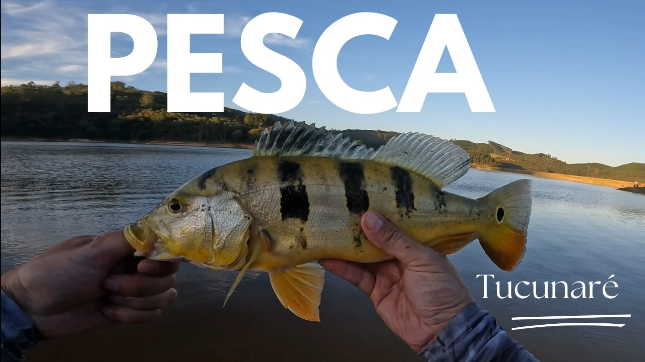 O Tucunaré Mais Bonito Que Já Peguei! | Pescaria de Barranco em Salesópolis - SP