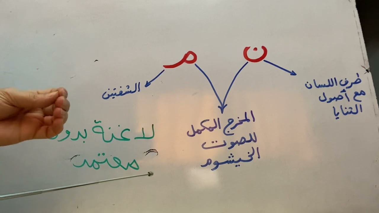 ليه يا استاذه ايمان النون والميم انفردا بأحكام تجويد دون باقي الاحرف 📣📣🌹