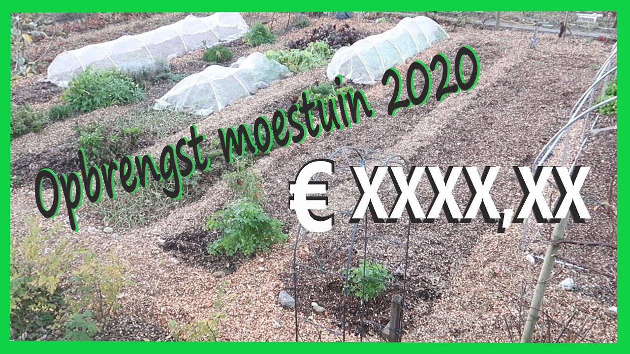 Wat is de opbrengst van mijn moestuin in 2020?