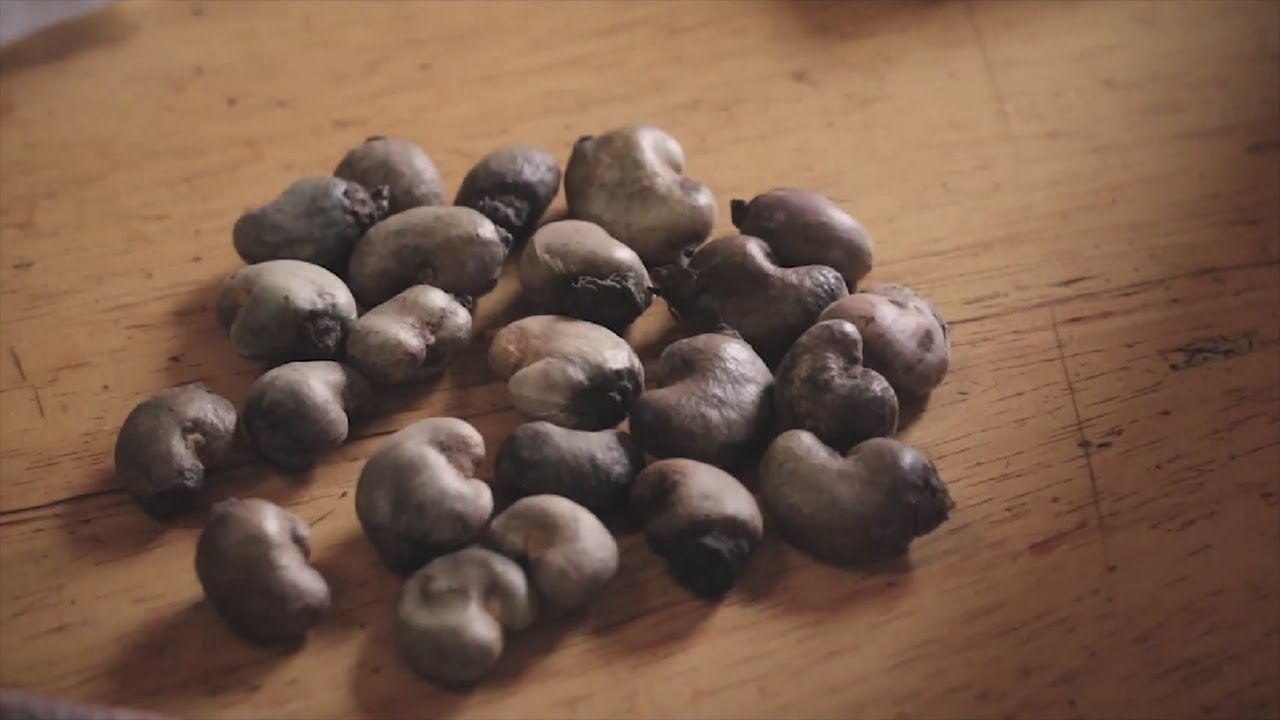 The Story of a Nut - Processing Cashews in Burkina Faso