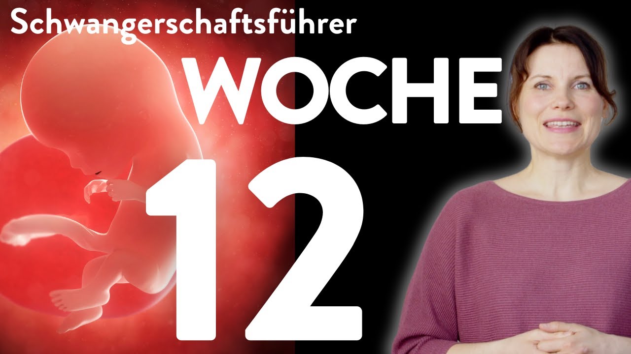 Die 12. SSW - Zwölfte Schwangerschaftswoche! Das erste Trimester ist geschafft!