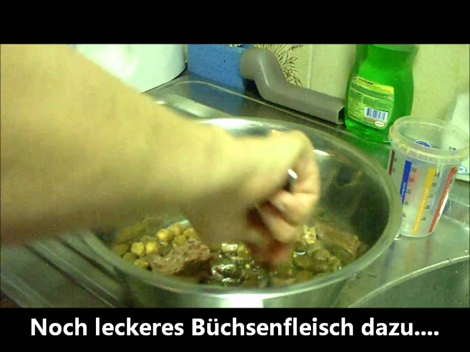 20. K&ouml;nigspudel Bambuli als Feinschmecker
