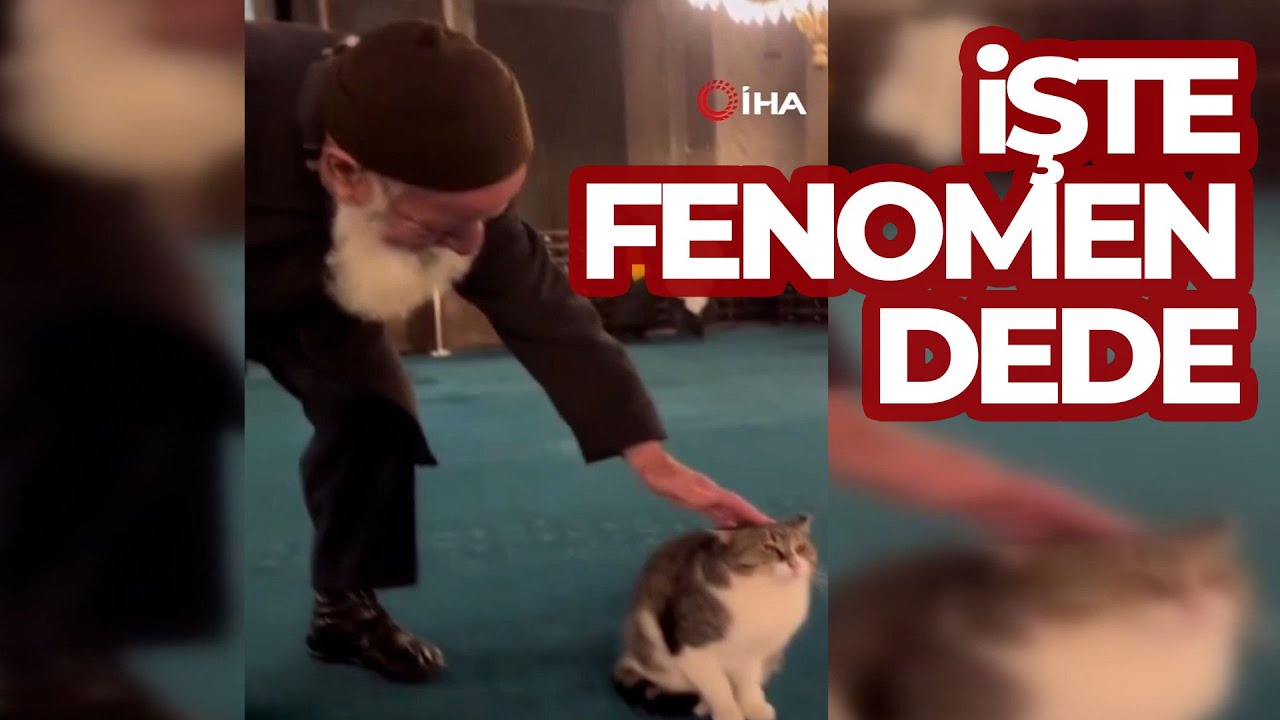 Ayasofya’da kedi sevdiği video ile viral olmuştu! İşte o fenomen dede