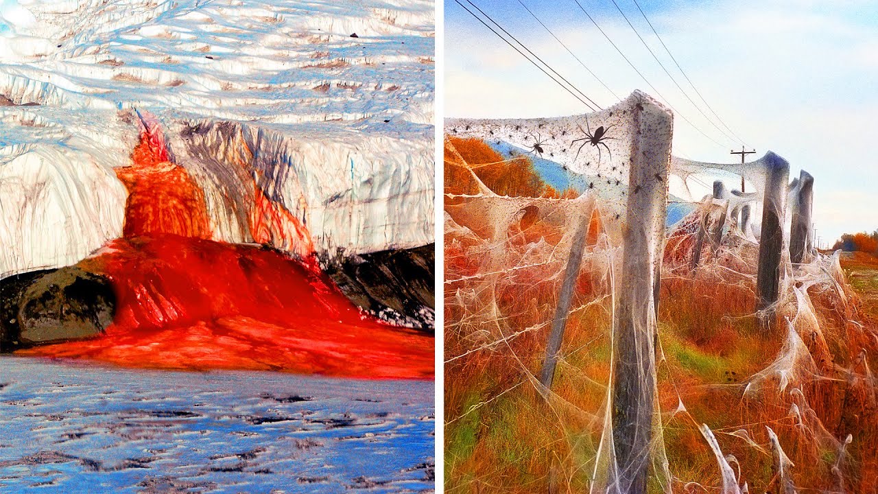 9 cosas extremadamente raras en la tierra que no muchos pueden ven (¡lluvia de arañas!)