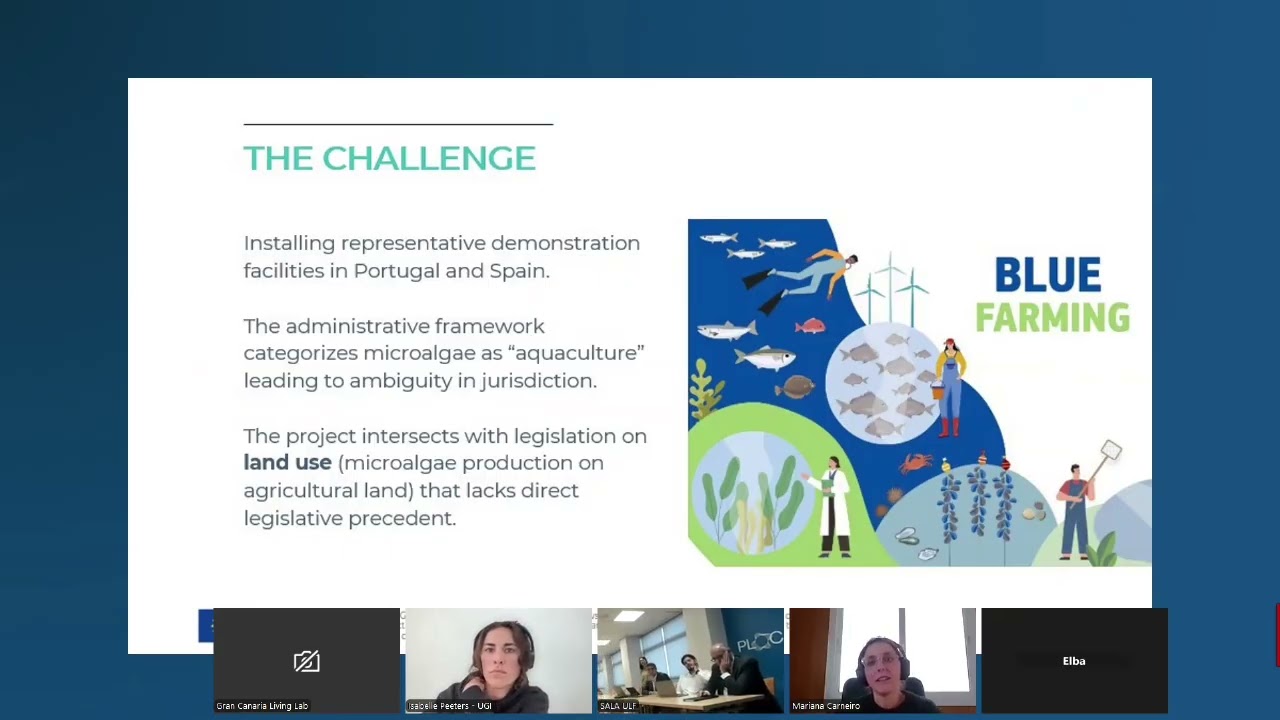 Mariana Carneiro Roundtable