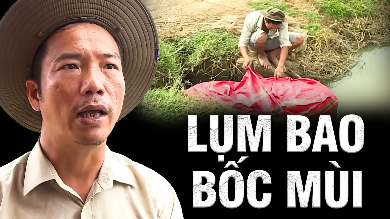 LỤM BAO BỐC MÙI | Truy Tìm Bằng Chứng 2026 | Ký Sự Pháp Đình THVL | Chuyện Cảnh Giác Mới 2026