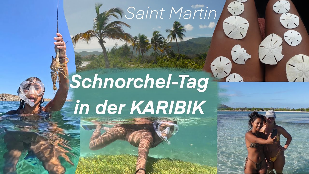Komm Schnorcheln mit mir in St. Martin, Karibik | Auswandern, Inselleben, Strand