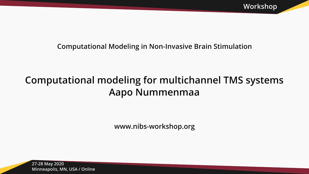 Computational modeling for multichannel TMS systems // NIBS workshop 2020