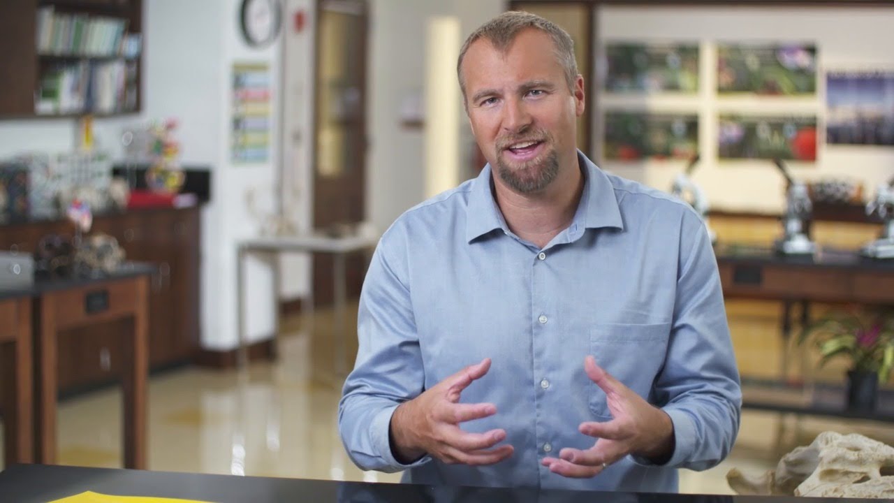 Challenging Content: Inheritance and Evolution