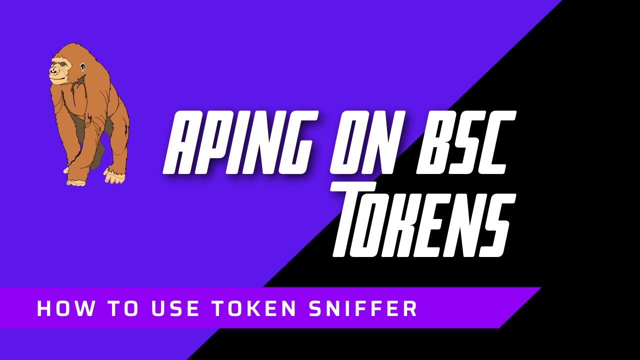 How to find New and Trending BSC Gems! 🚀  Token Sniffer