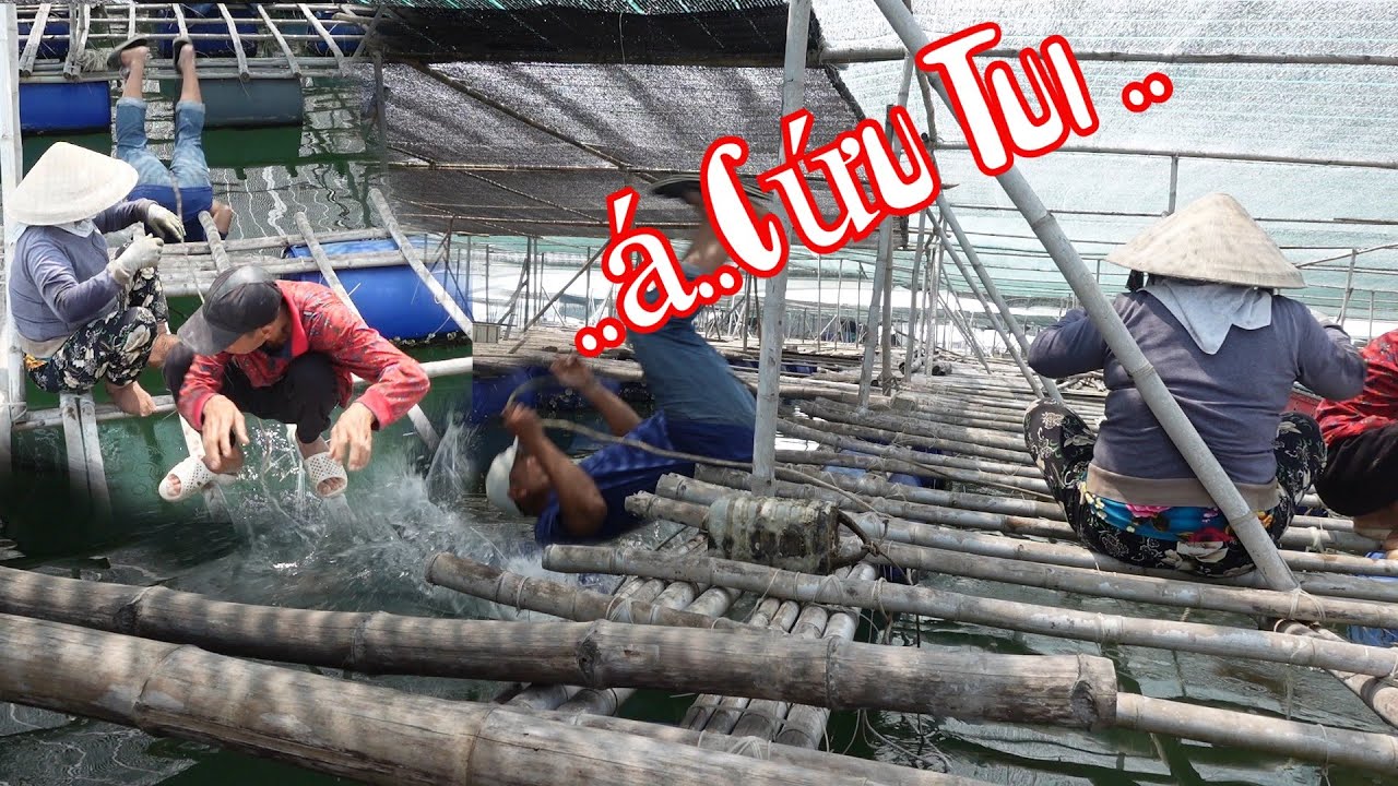 Bà 8 Phong Hợp Tác Chị Dư Cho 10 Râu Lọt Sông Thiệt Hại 2 Củ