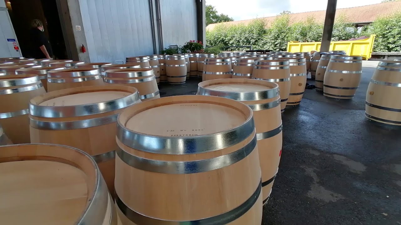Winemaking process in France, Bordeaux at Chateau d'Arsac in Medoc
