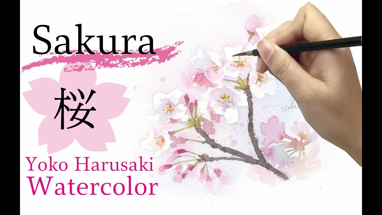 水彩画 桜の描き方　Watercolor draw  Cherry Blossoms【Sakura】Yoko Harusaki  春崎陽子 　3 color watercolor painting