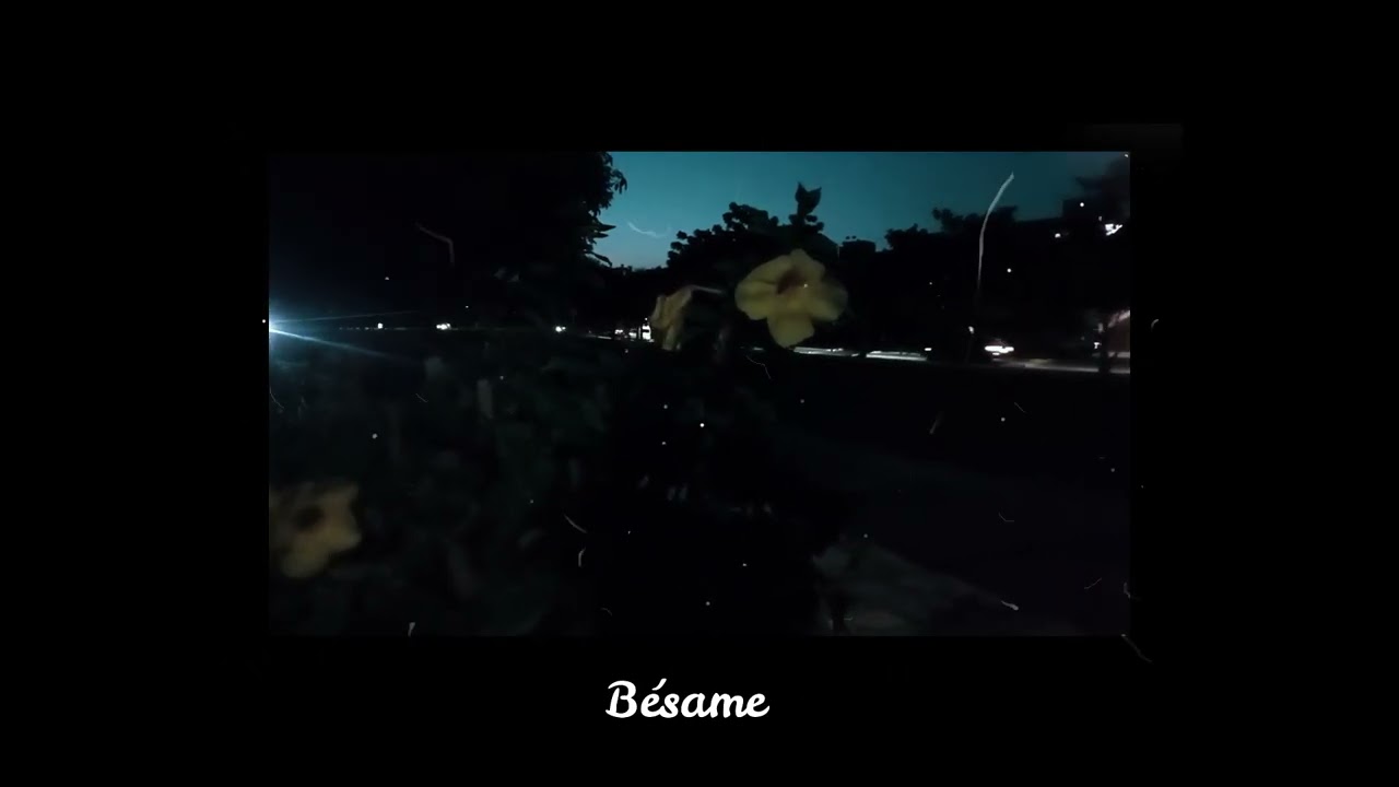 04. Yo se que tú (Ft. @DiegoCaceres14 ) | VISUALIZER | Flow Sin Sentido