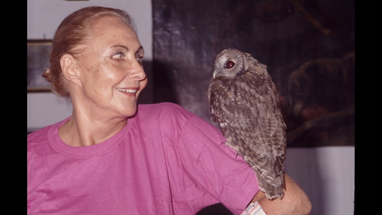 Enrico Stella: Auguri 2024 - EVA HÜLSMANN, la pittrice che salvava gli uccelli