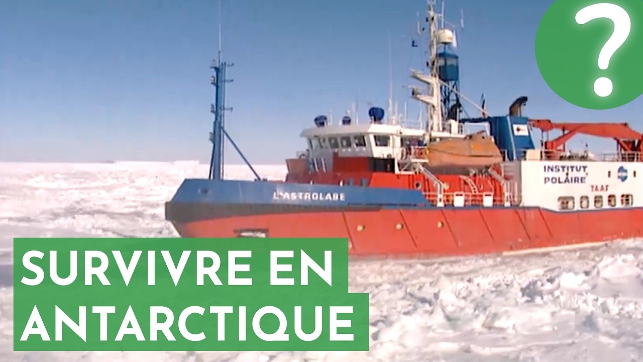 Coupés du monde : survivre en Antarctique