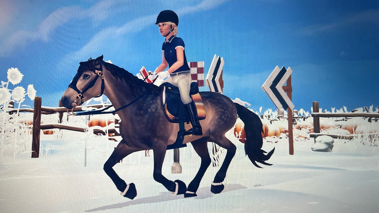 Ønske liste 2026 | Dansk star stable online 