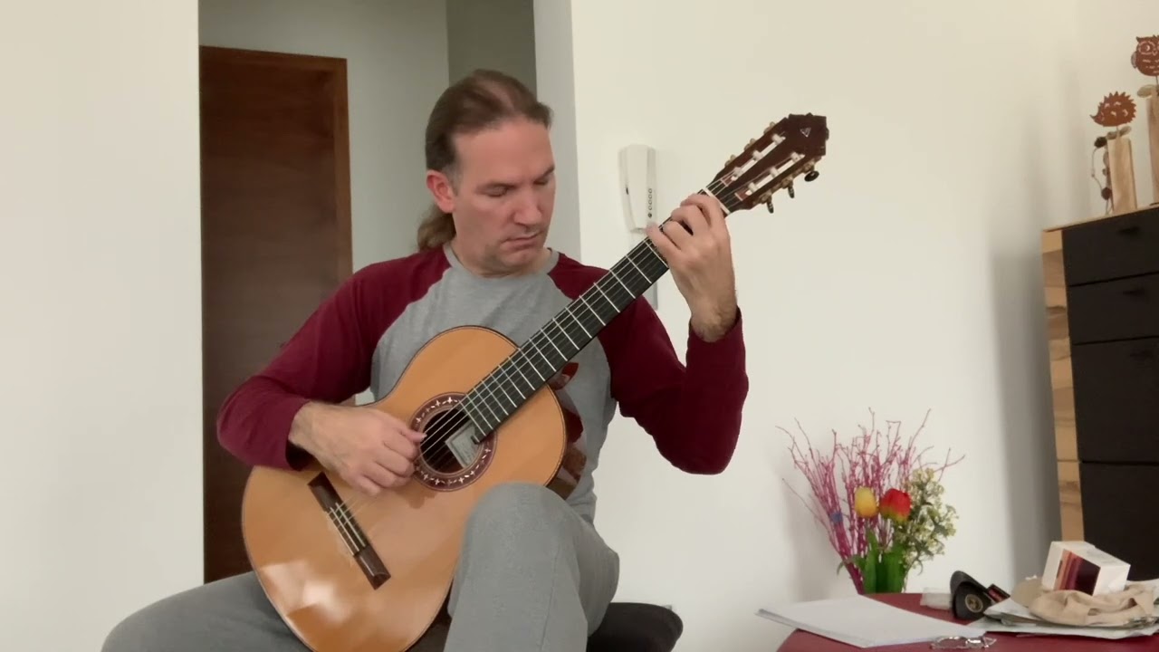 Fantasy Variations on a theme by Tárrega   Yusuke Nakanishi (Practice video)
