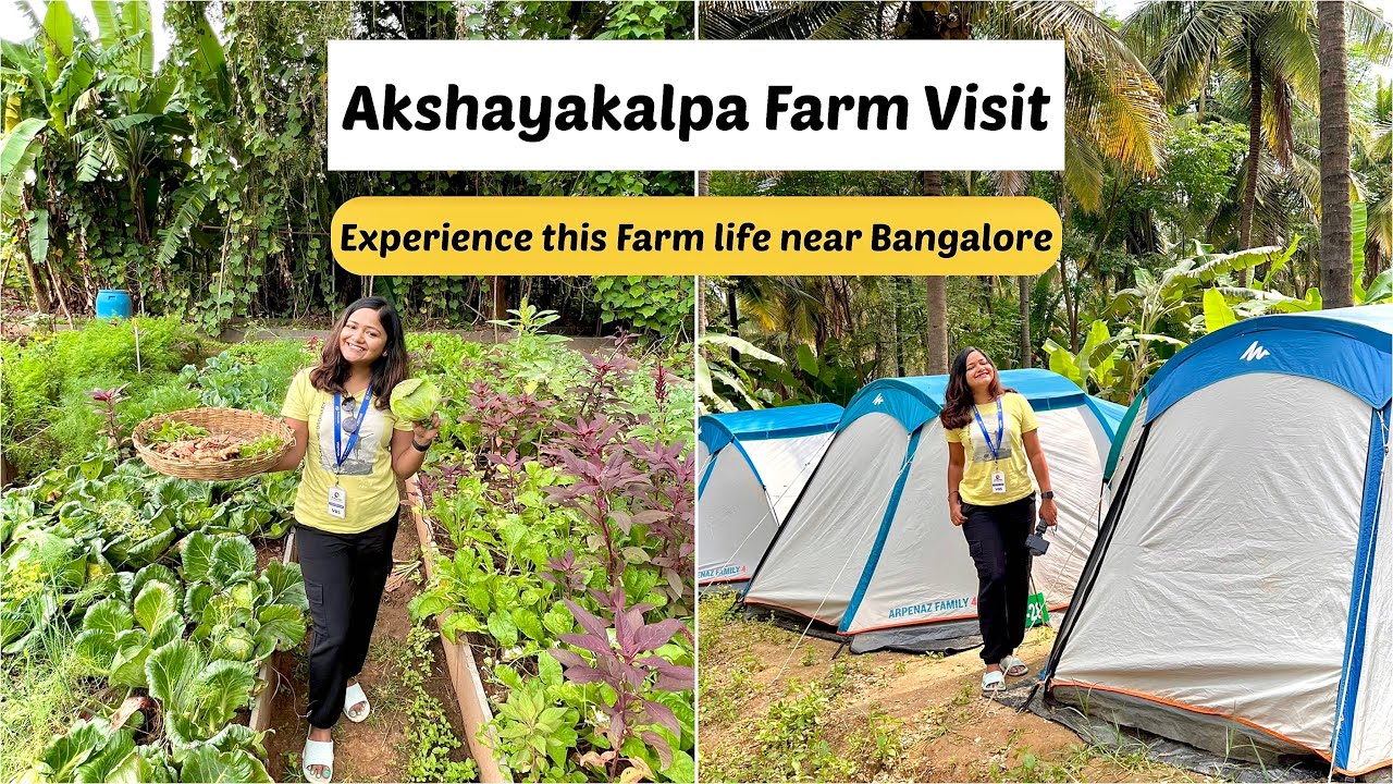 Visit to Akshayakalpa Farm | Experience this Farm life Near Bangalore | Must Visit Unique Experience
