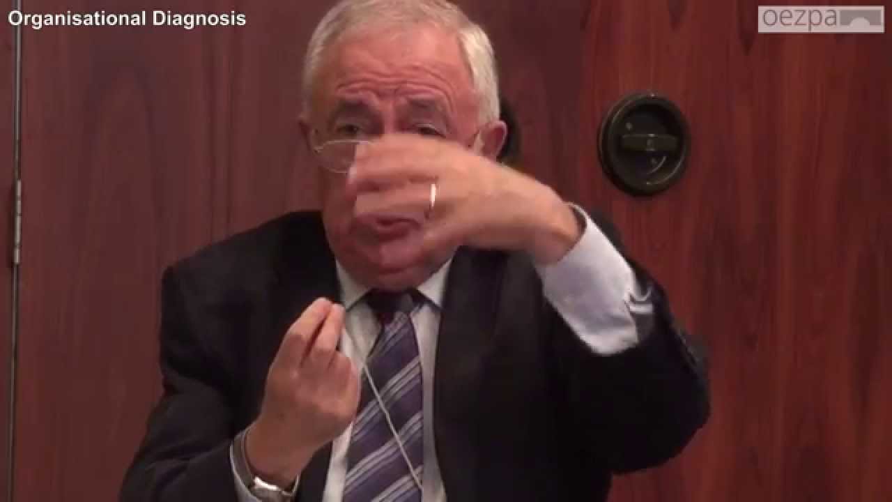 Organisational Diagnosis