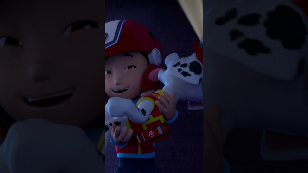 Marshall wasn't scared as long as Chase is here - Paw patrol