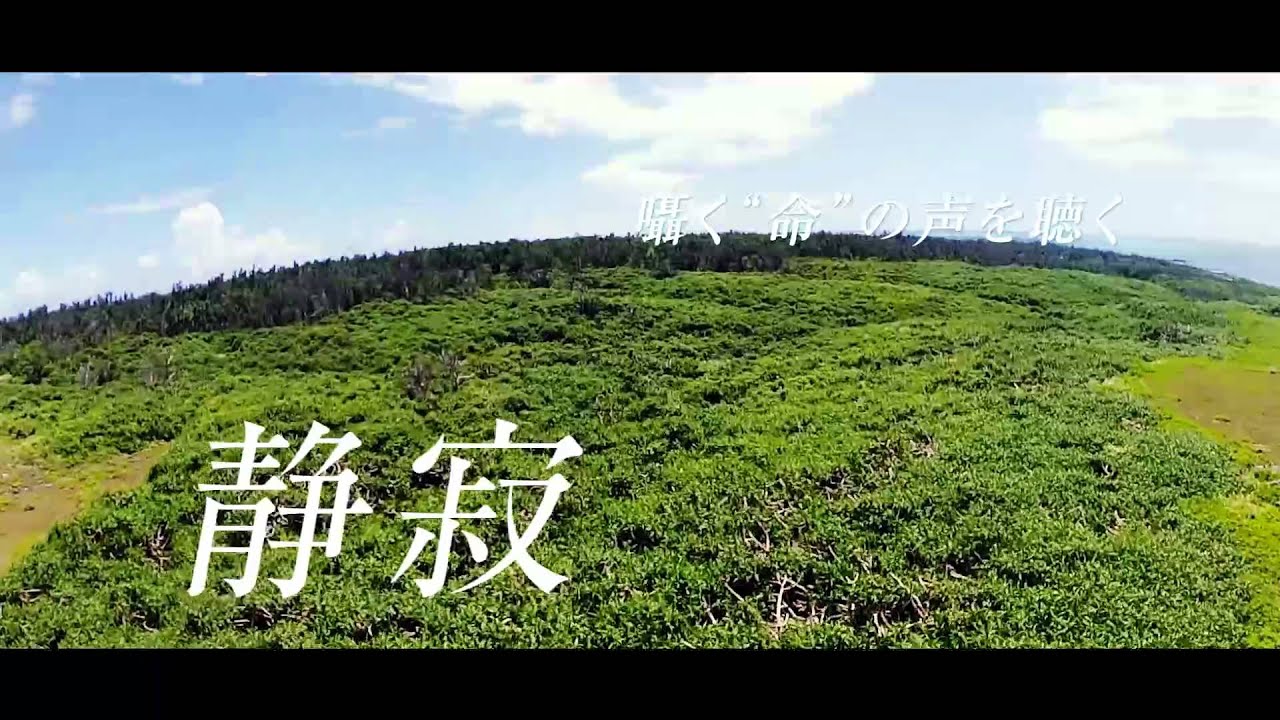 d lifePV