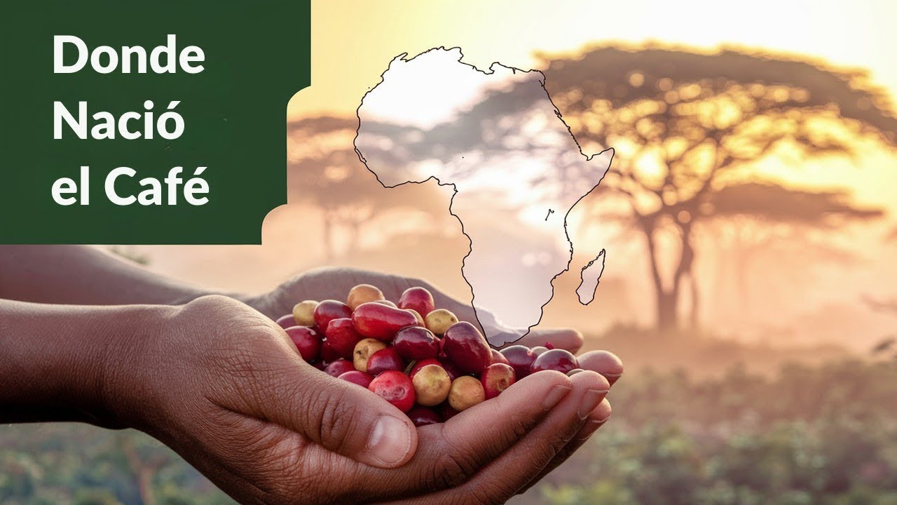 4 Países Africanos Que Cambiarán Cómo Piensas Sobre el Café