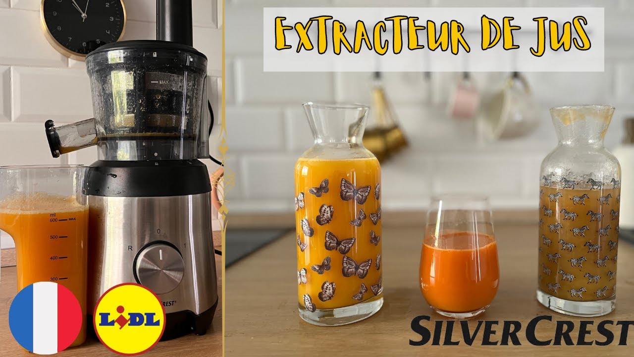 EXTRACTEUR DE JUS SILVERCREST SSJ 300 SSJBK 300 B3 FRANCE FRANÇAIS LIDL