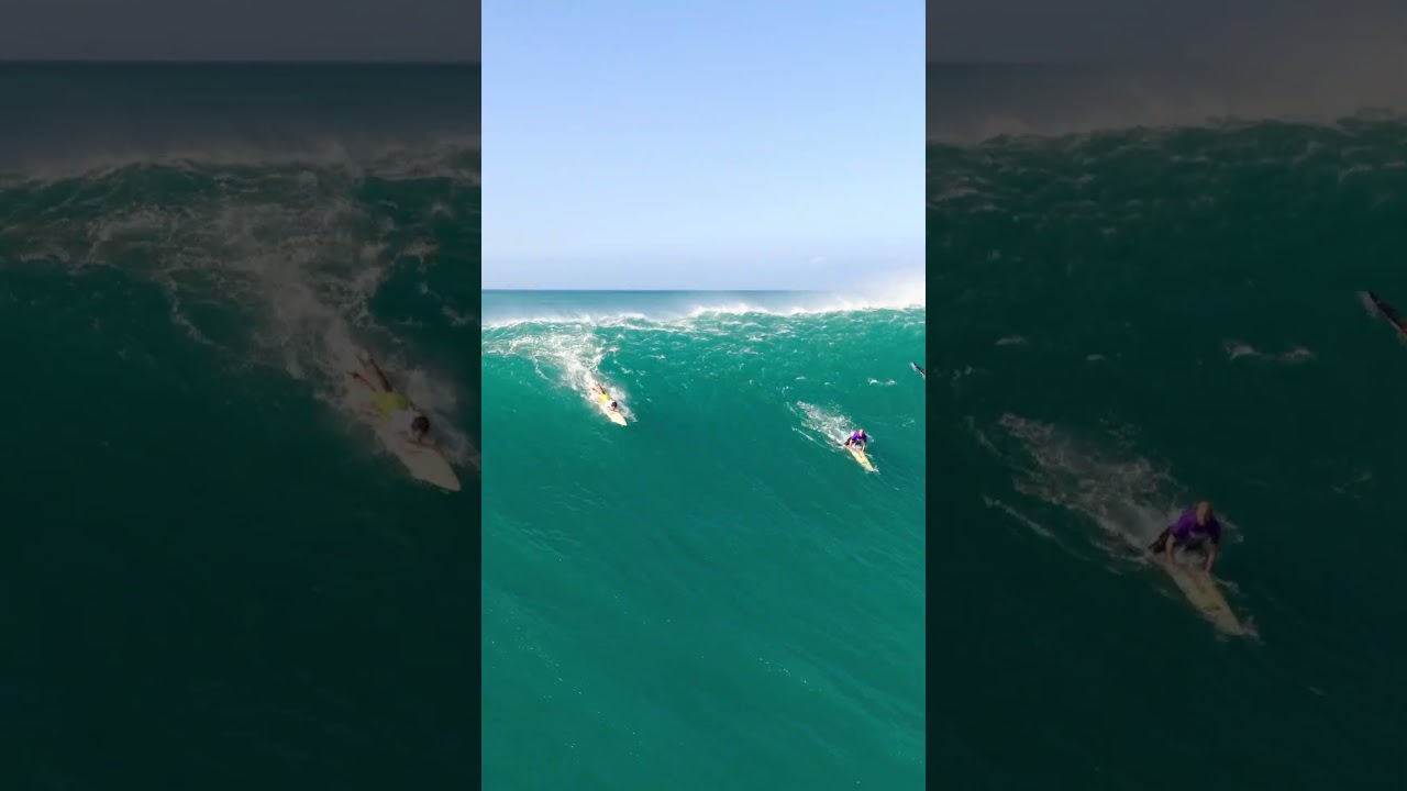 Luke Shepardson's Winning Wave at The Eddie Aikau 2023 #hawaii #bigwavesurfing