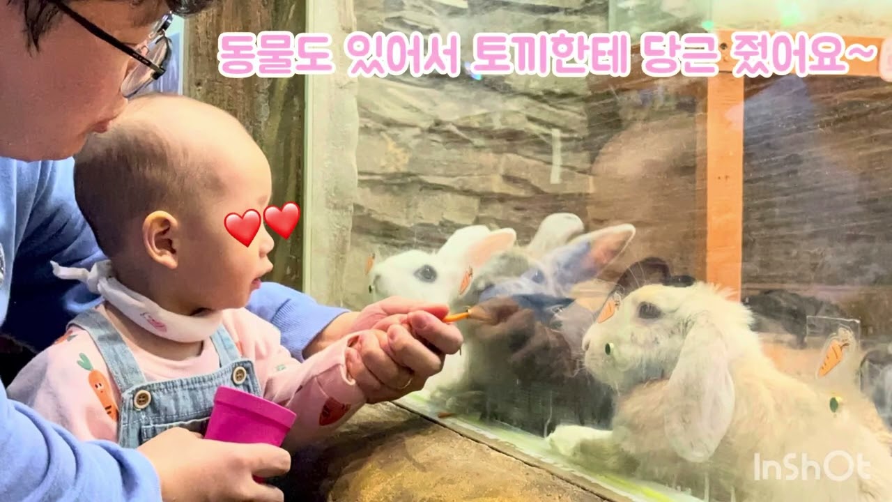 [#오코메커플 #한일부부] 요새 근황~
