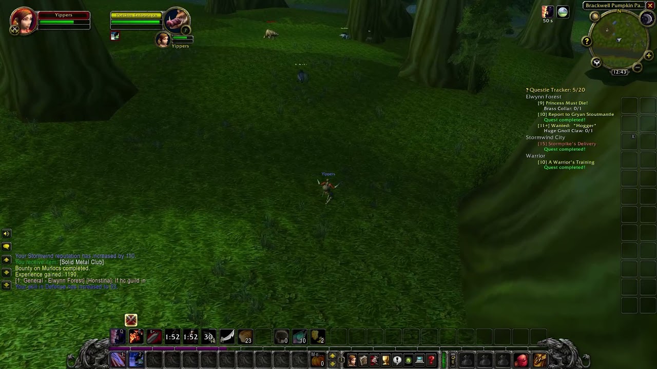 Classic WoW Hardcore Princess Quest Guide