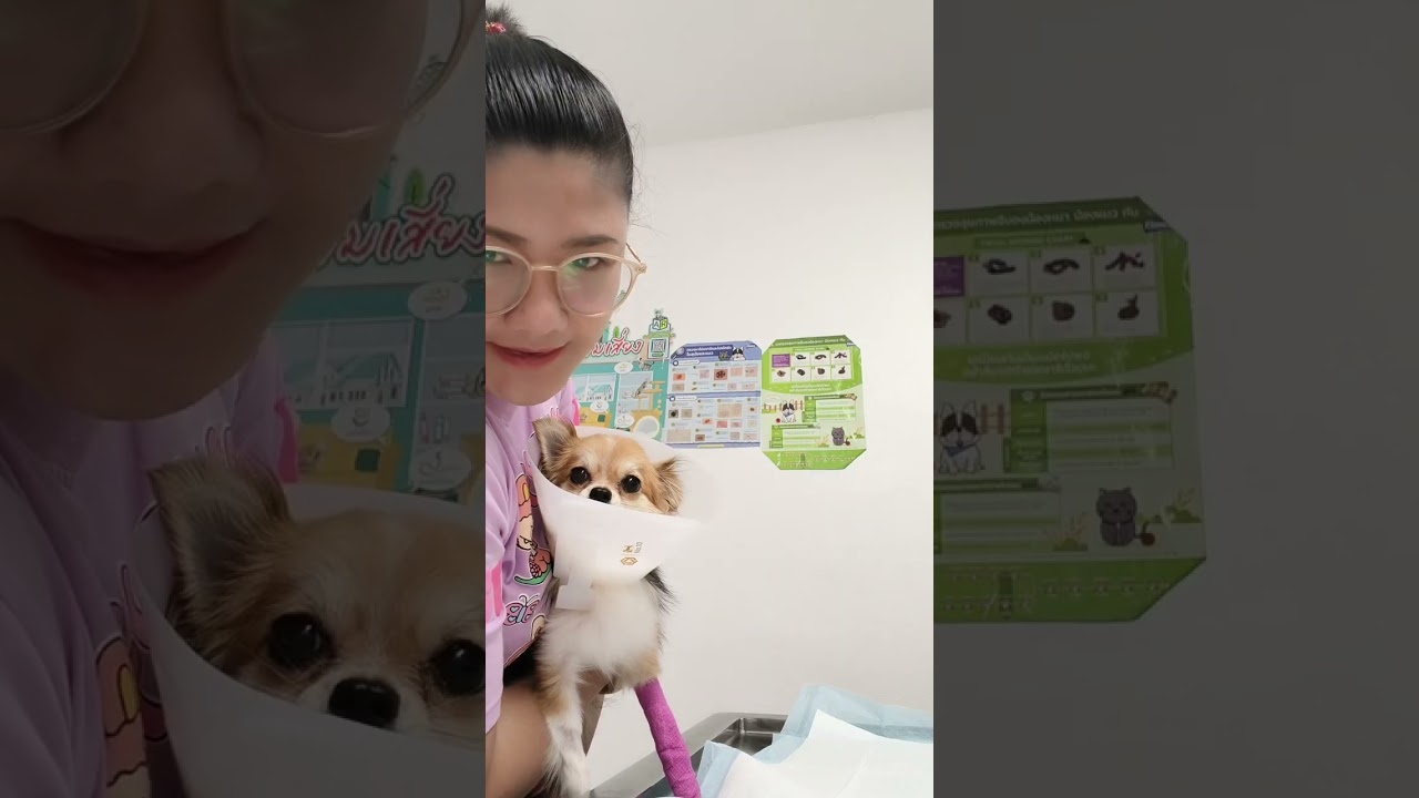 ไซซีหัวบวม