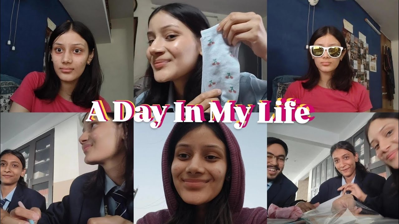 a typical tuesday 🐥