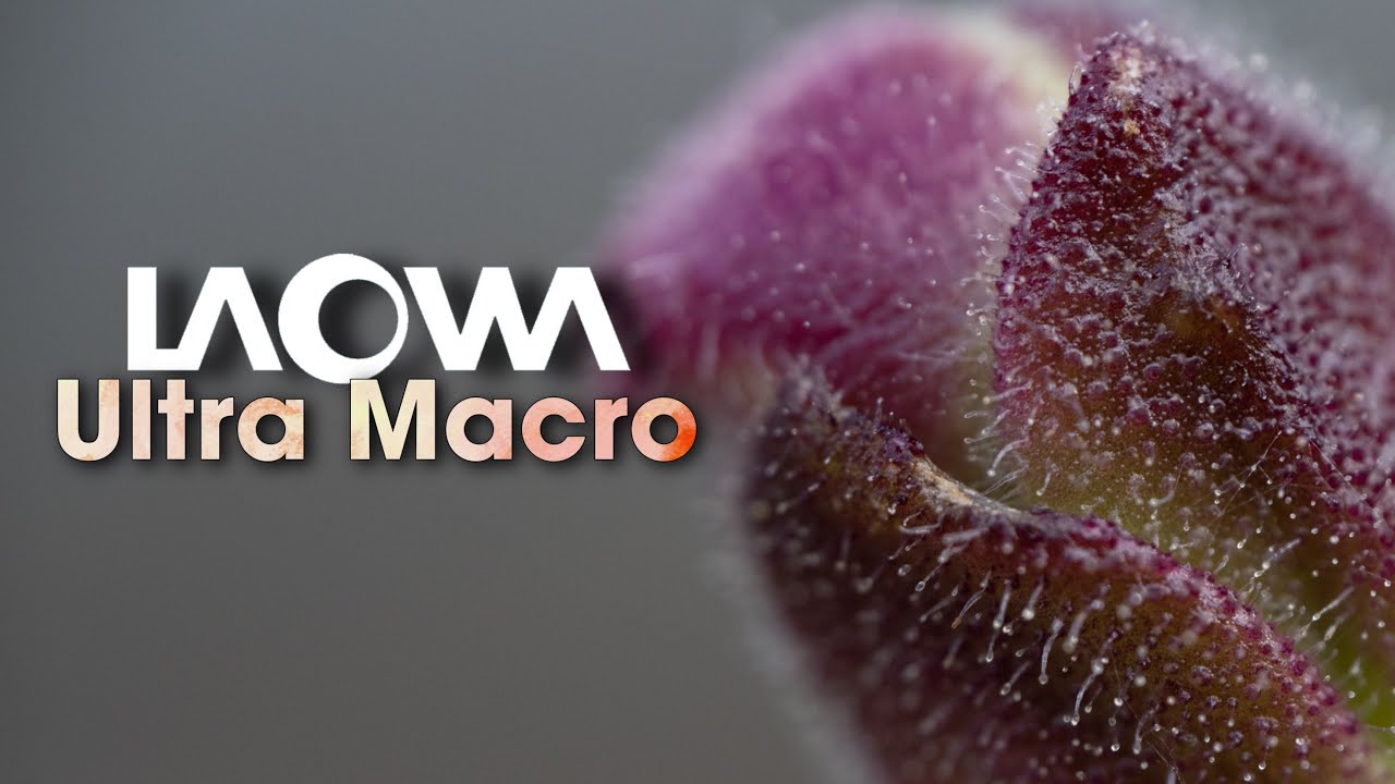 Objetivo Laowa 10mm Pancake | Objetivo Laowa 58mm